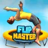 Flip Master