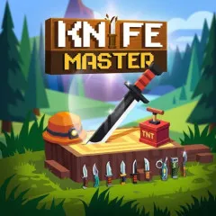 Play Knife Master Game