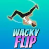Play Wacky Flip Game